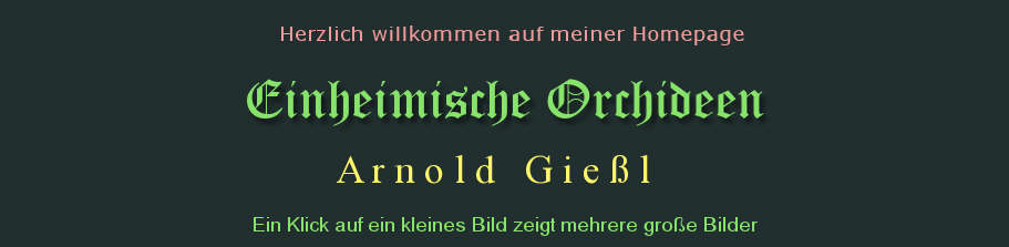 HomePage Arnold Giel Veitshchheim